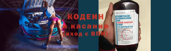 ГАЛЛЮЦИНОГЕННЫЕ ГРИБЫ Бородино