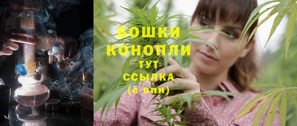 ГАЛЛЮЦИНОГЕННЫЕ ГРИБЫ Бородино