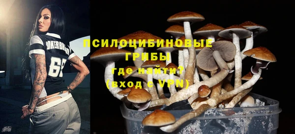 a pvp Бугульма