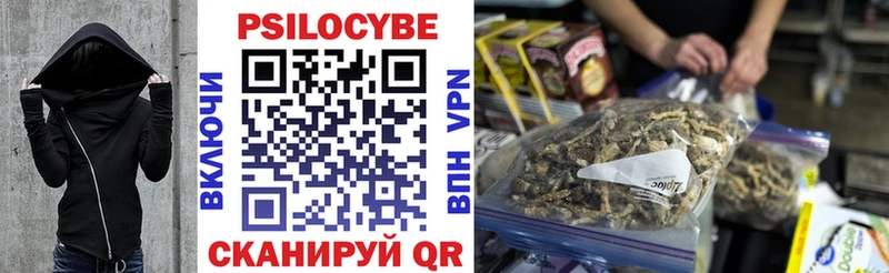 Псилоцибиновые грибы MAGIC MUSHROOMS  kraken как зайти  Городец  купить наркотики сайты 
