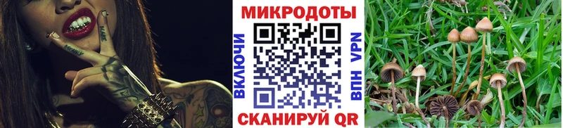 Псилоцибиновые грибы Magic Shrooms Городец